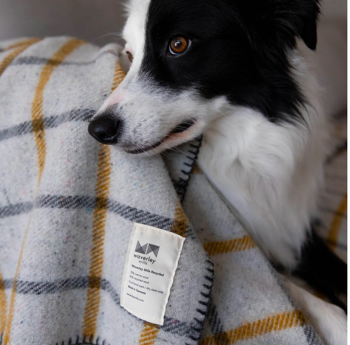 Waverley Mills Recycled Wool Blanket