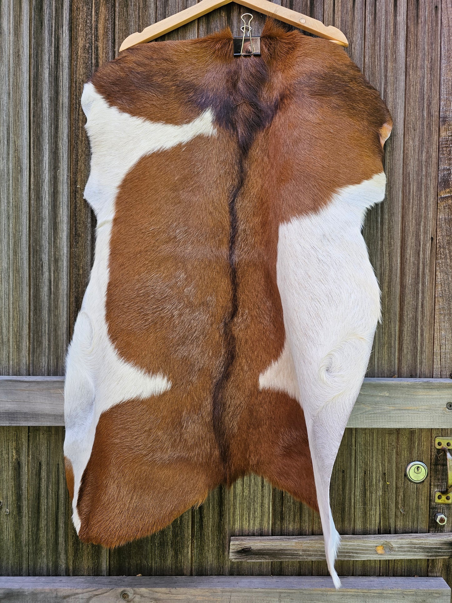 Goat Hide Rug