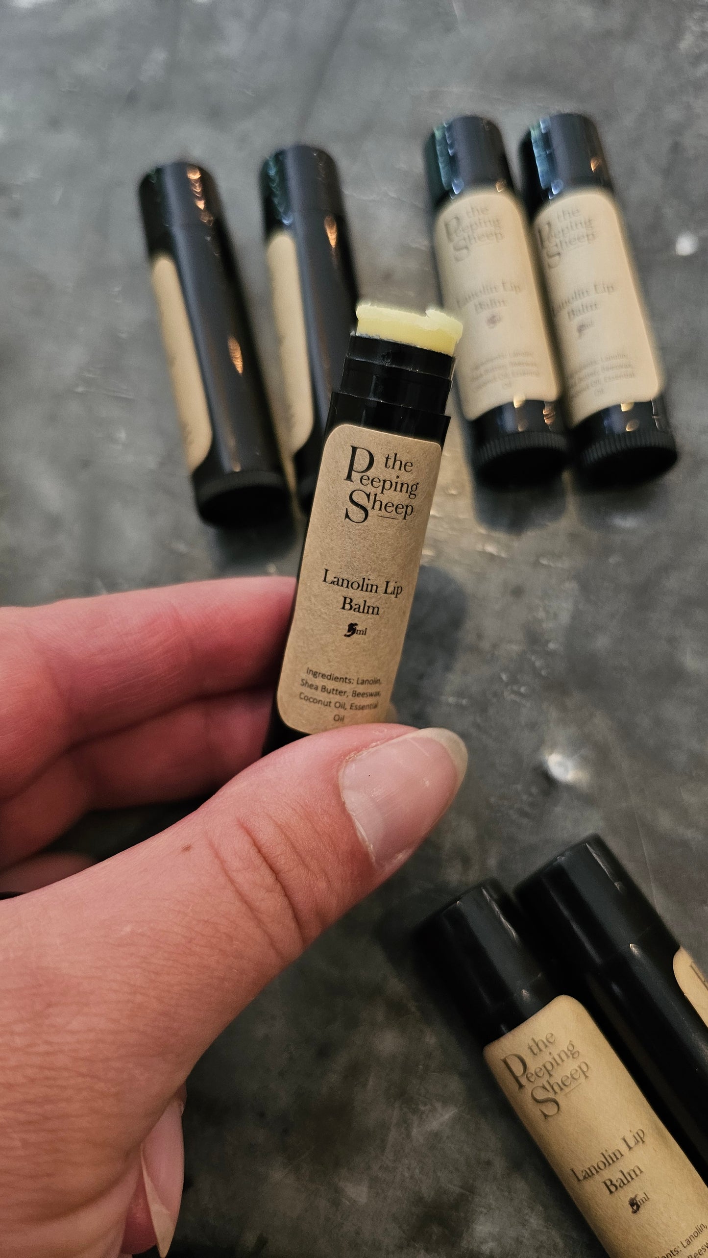 The Peeping Sheep / Lanolin Lip Balm