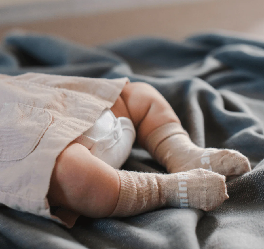 Lamington Baby Crew Sock / Ted