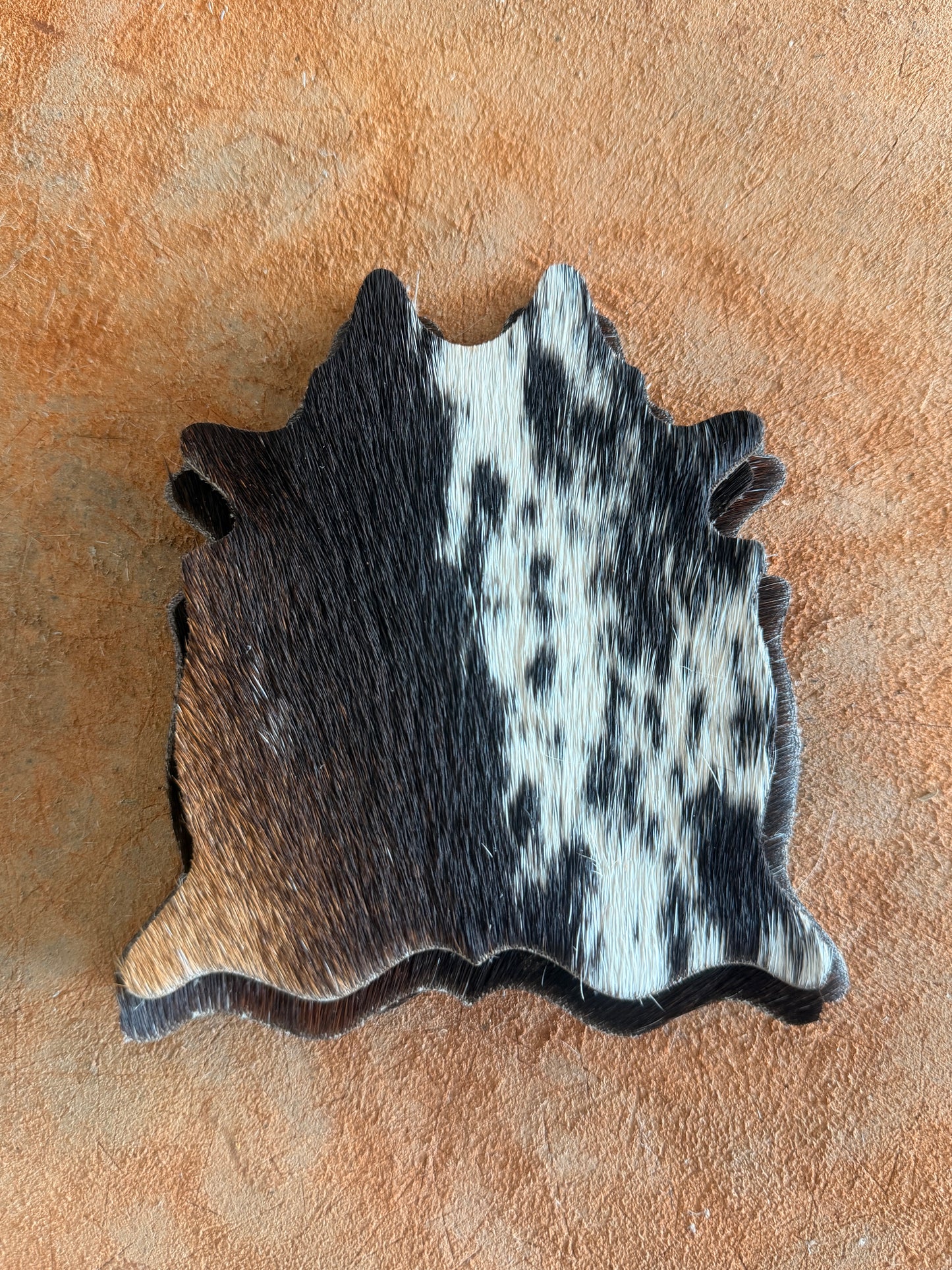 Cowhide Coasters - Pack of 6