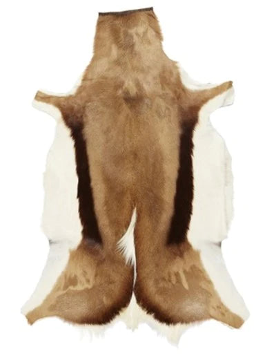 Springbok Hide / Natural