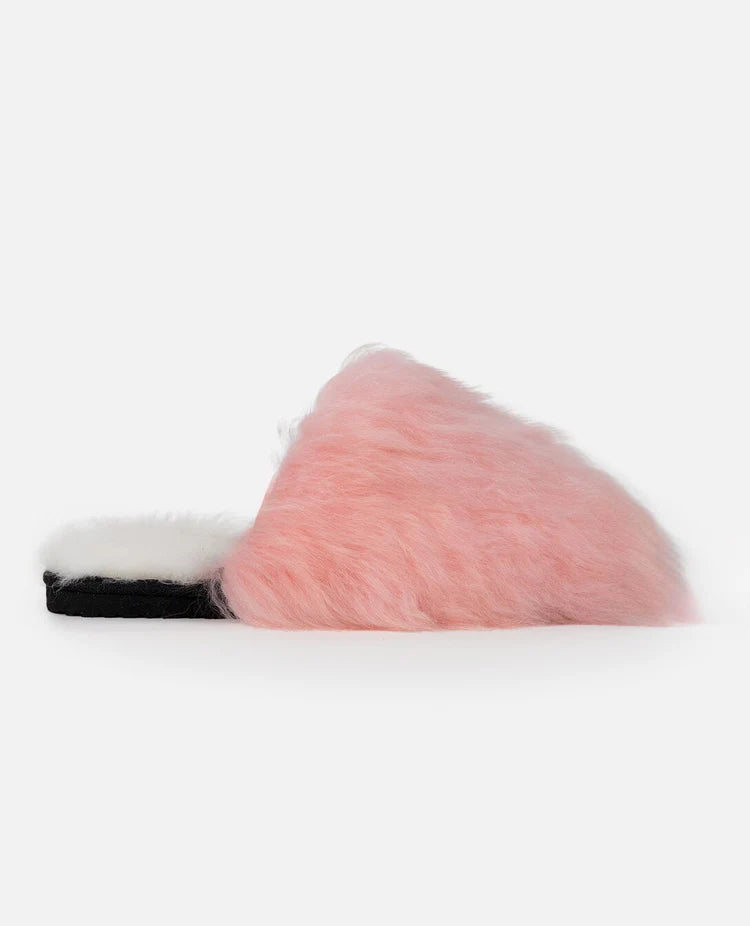 Moodle Slippers