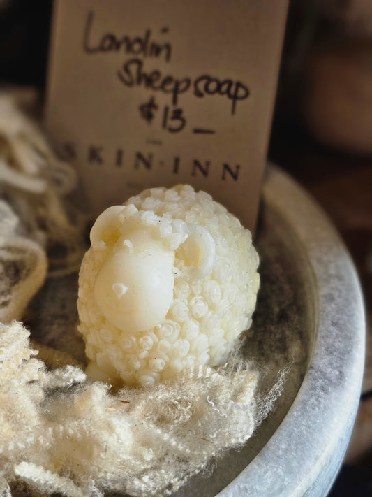The Peeping Sheep / Lanolin Sheep Soap