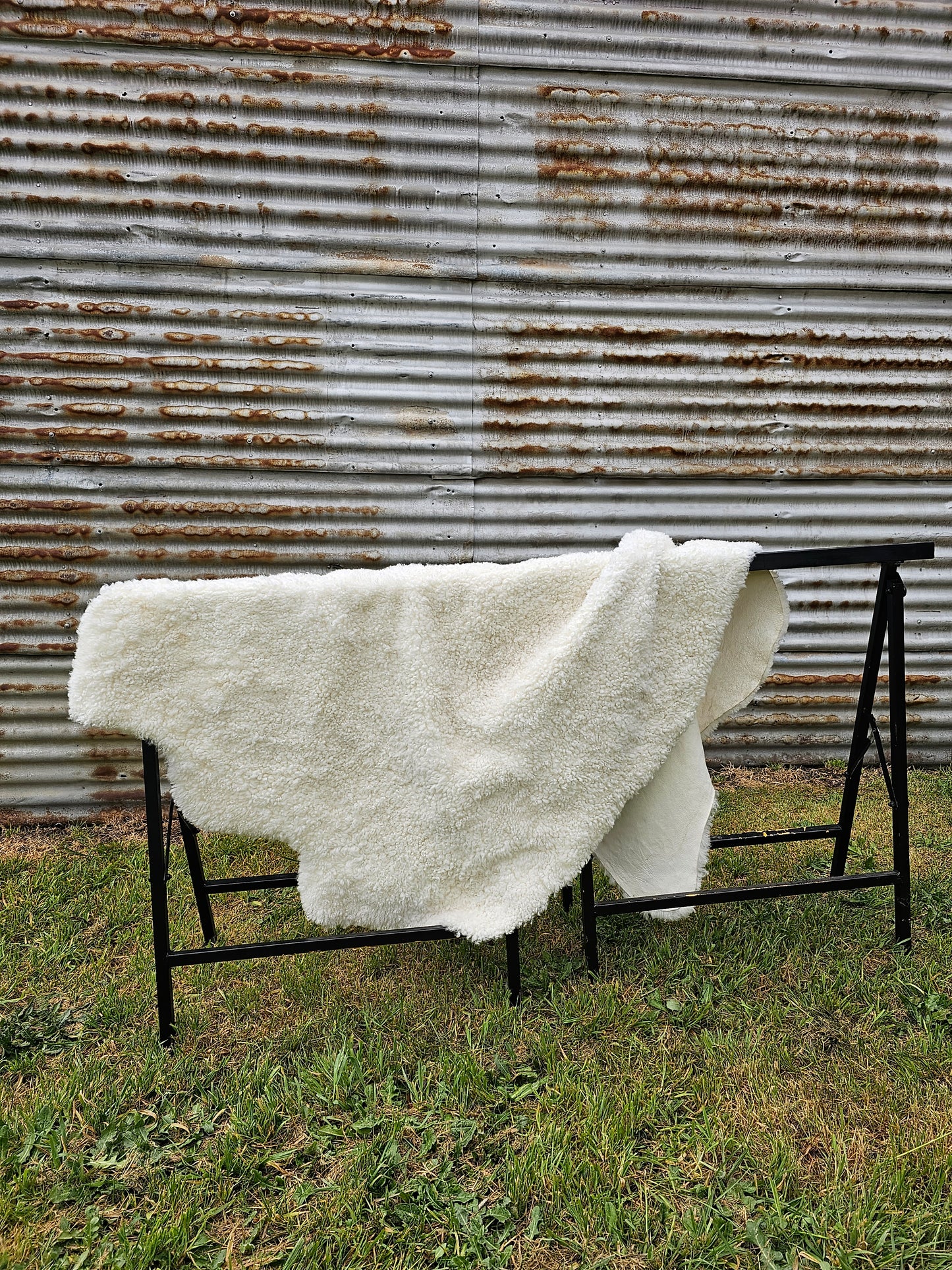 Shearling Rug / Natural White