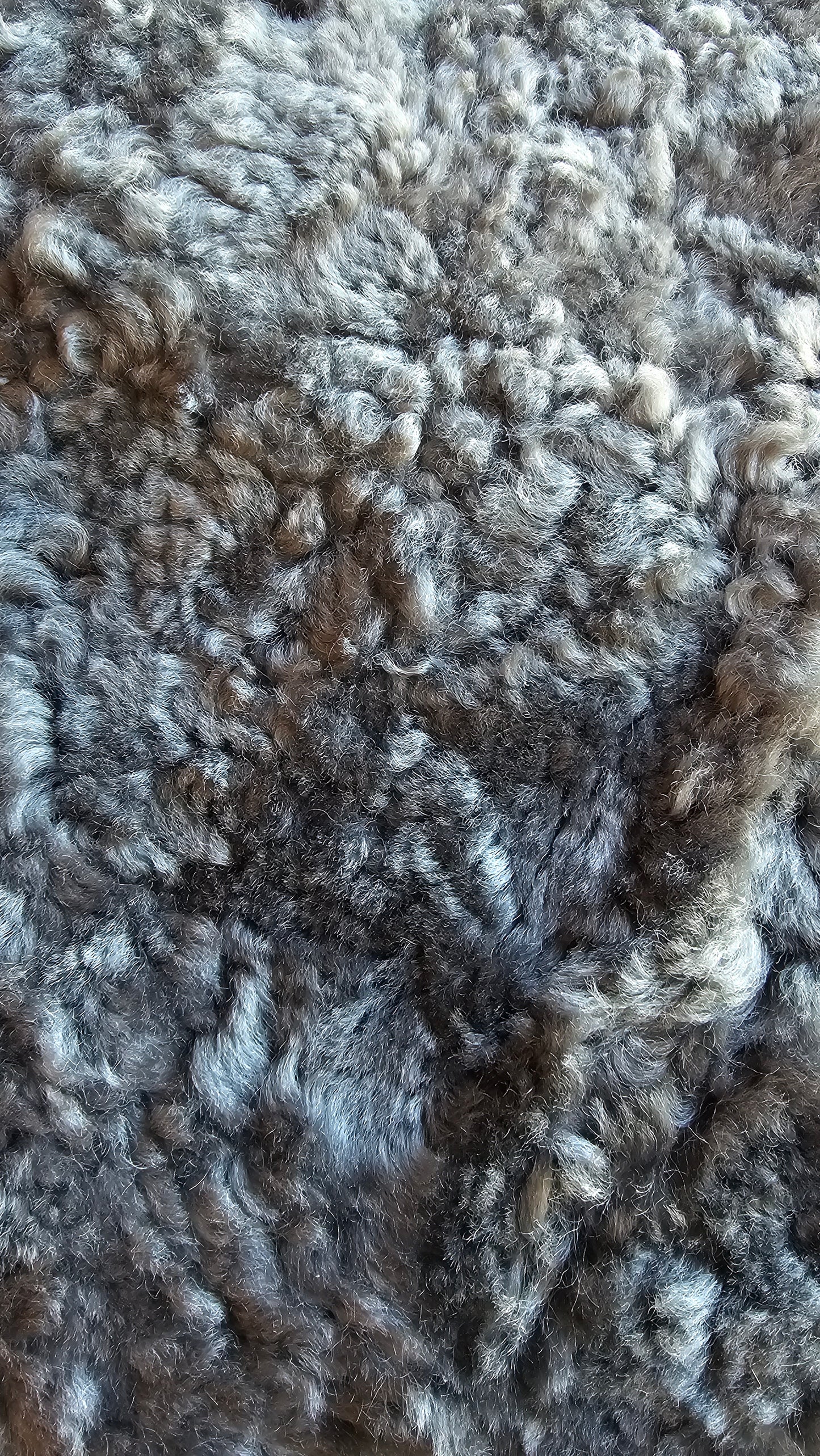 Shorn Curly Wool Pet Rug