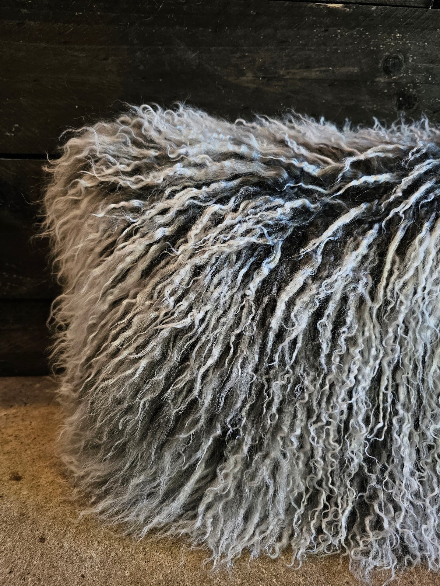 Mongolian Sheepskin Cushion / Charcoal Snow Tip