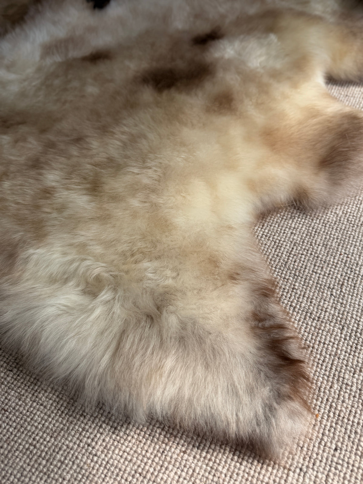 Out West Alaska Sheepskin Rug
