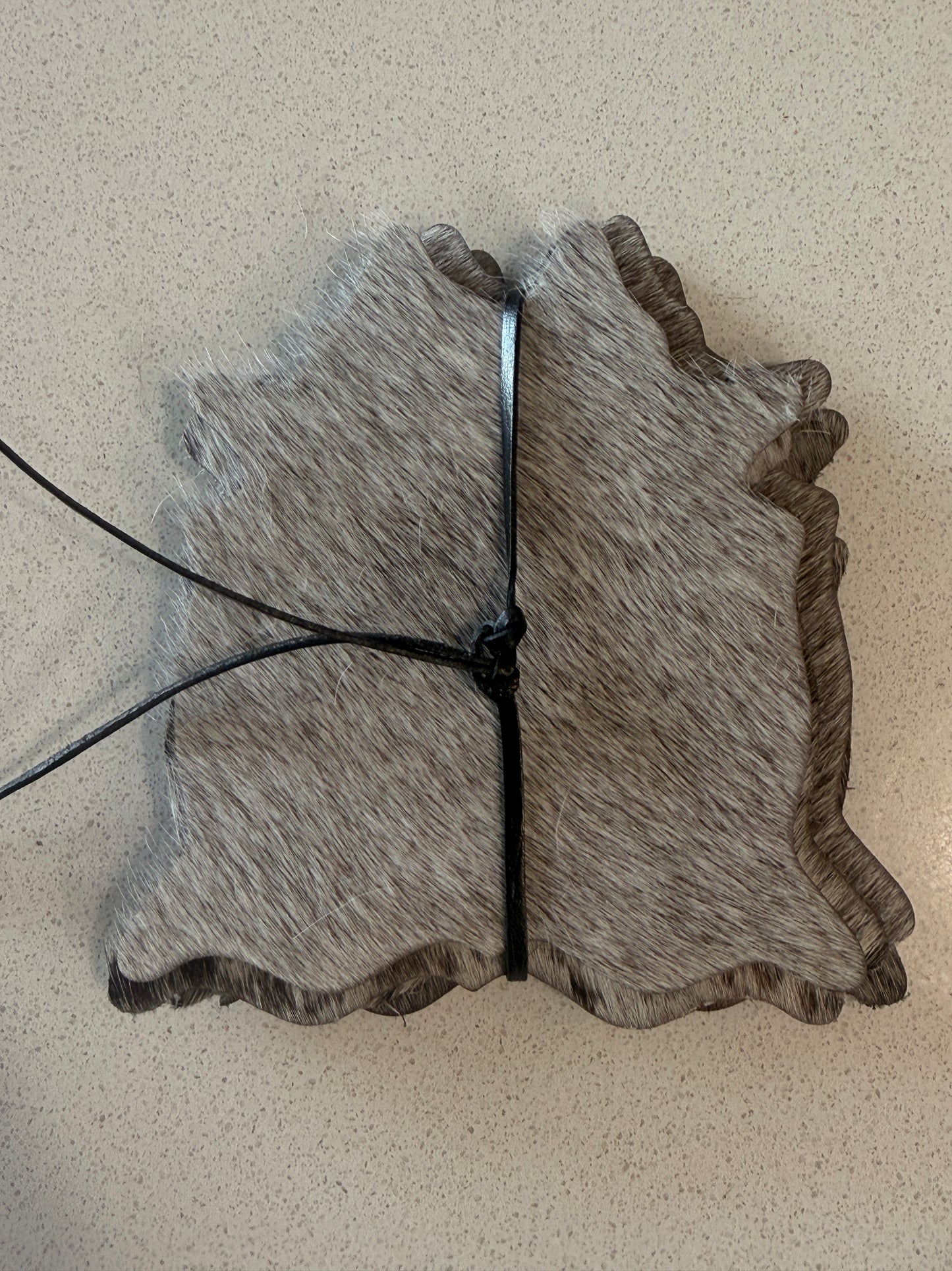 Cowhide Coasters - Pack of 6
