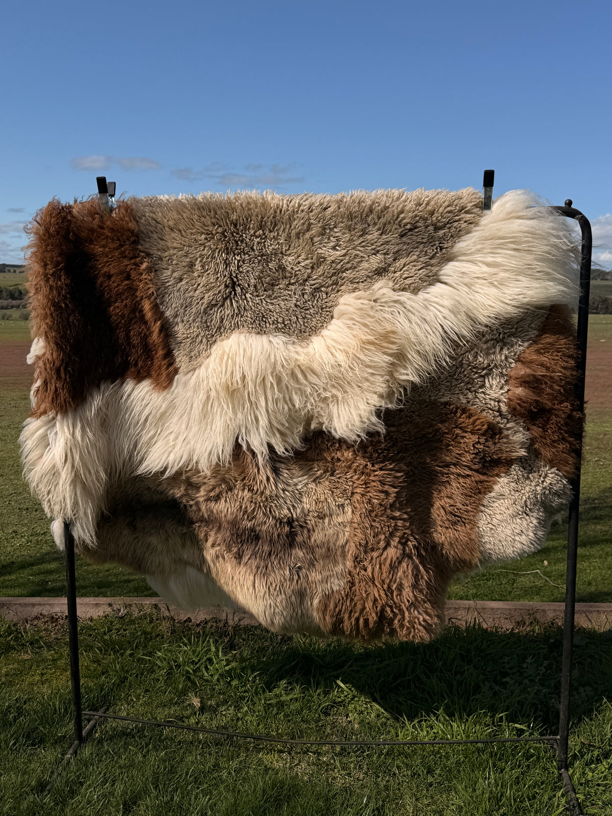 Out West 'Whistler' Sheepskin Rug