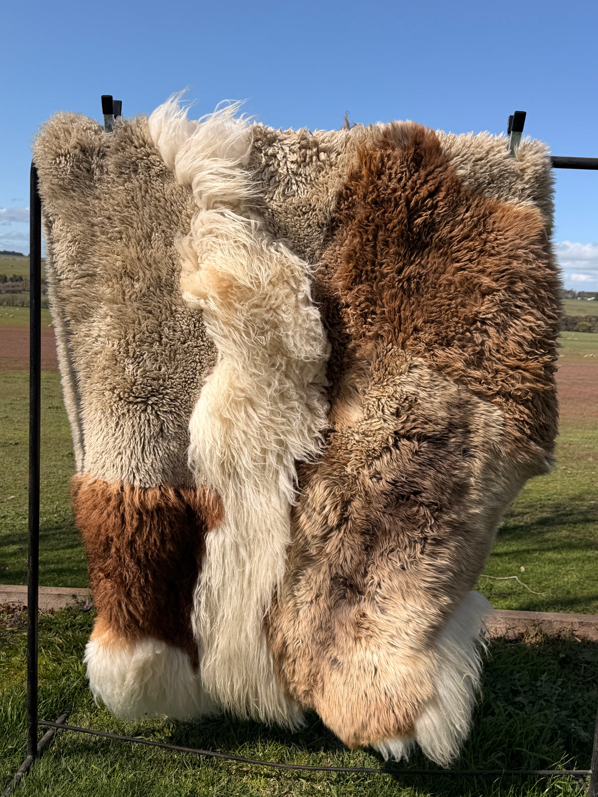 Out West 'Whistler' Sheepskin Rug
