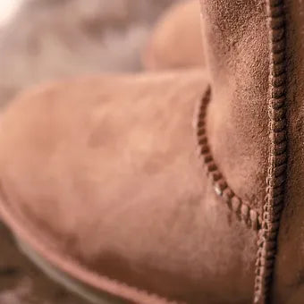 Classic Tall Ugg Boot / Chestnut