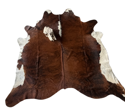 Cowhide Rug reg.