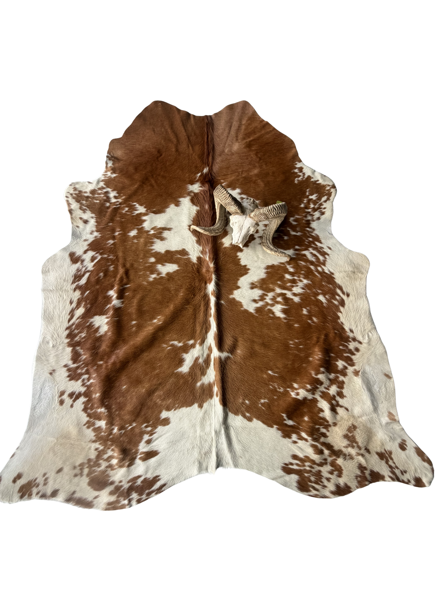 Cowhide Rug reg.