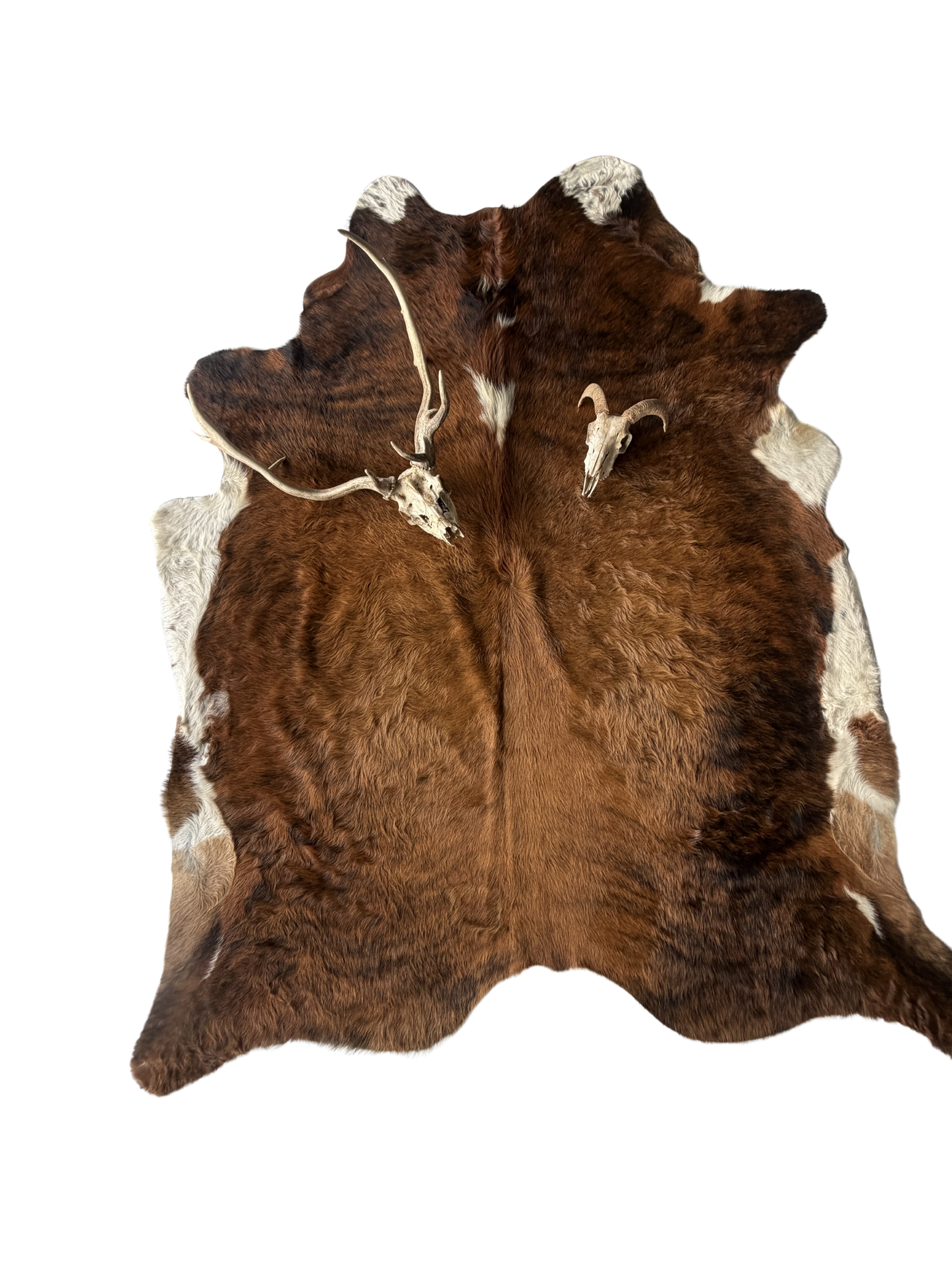 Cowhide Rug reg.