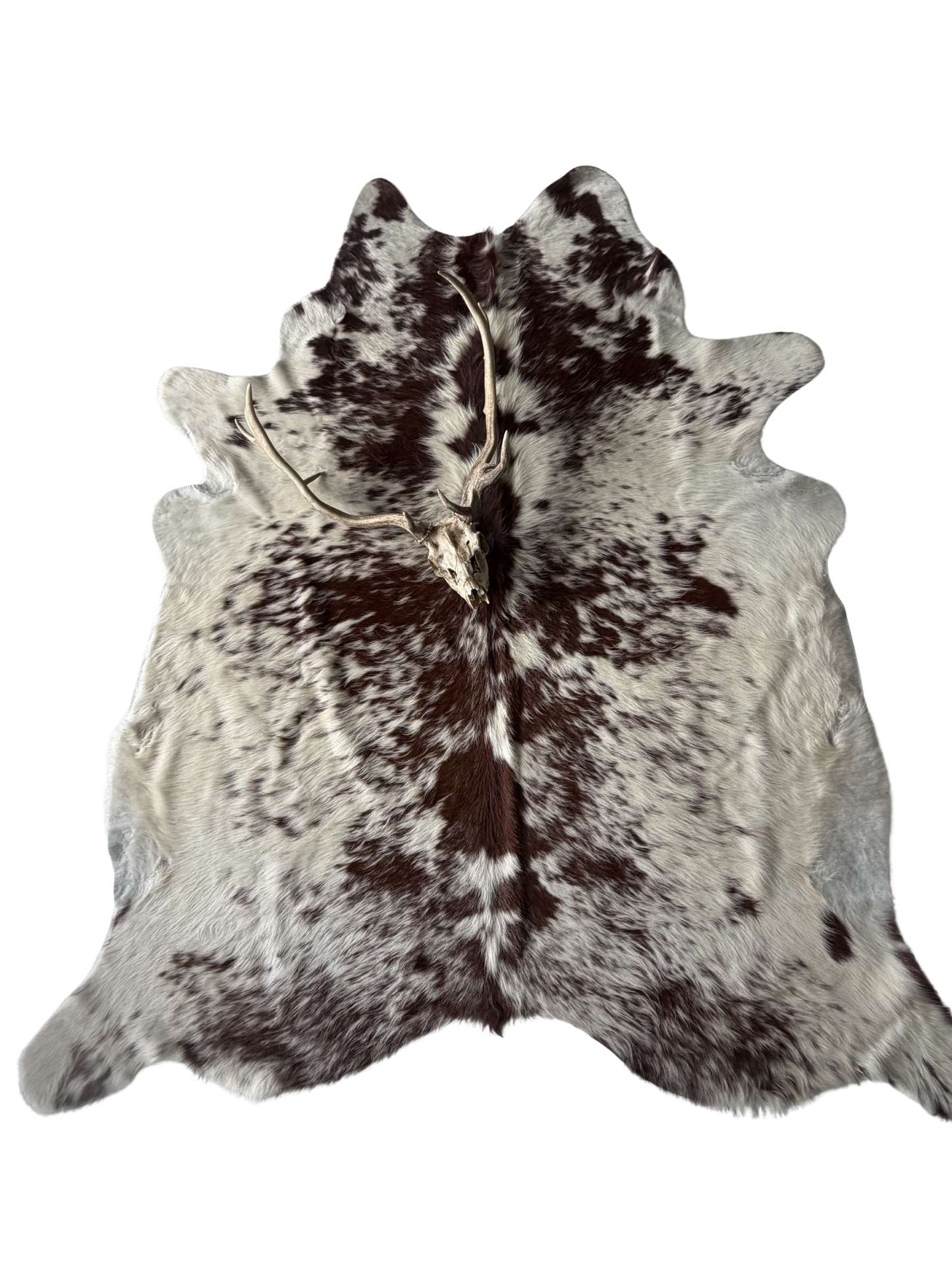 Cowhide Rug reg.