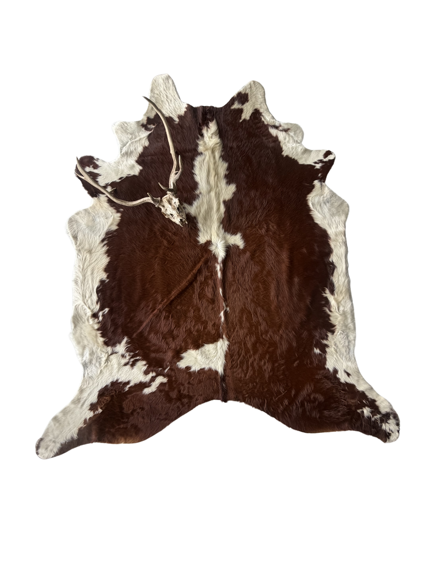 Cowhide Rug reg.