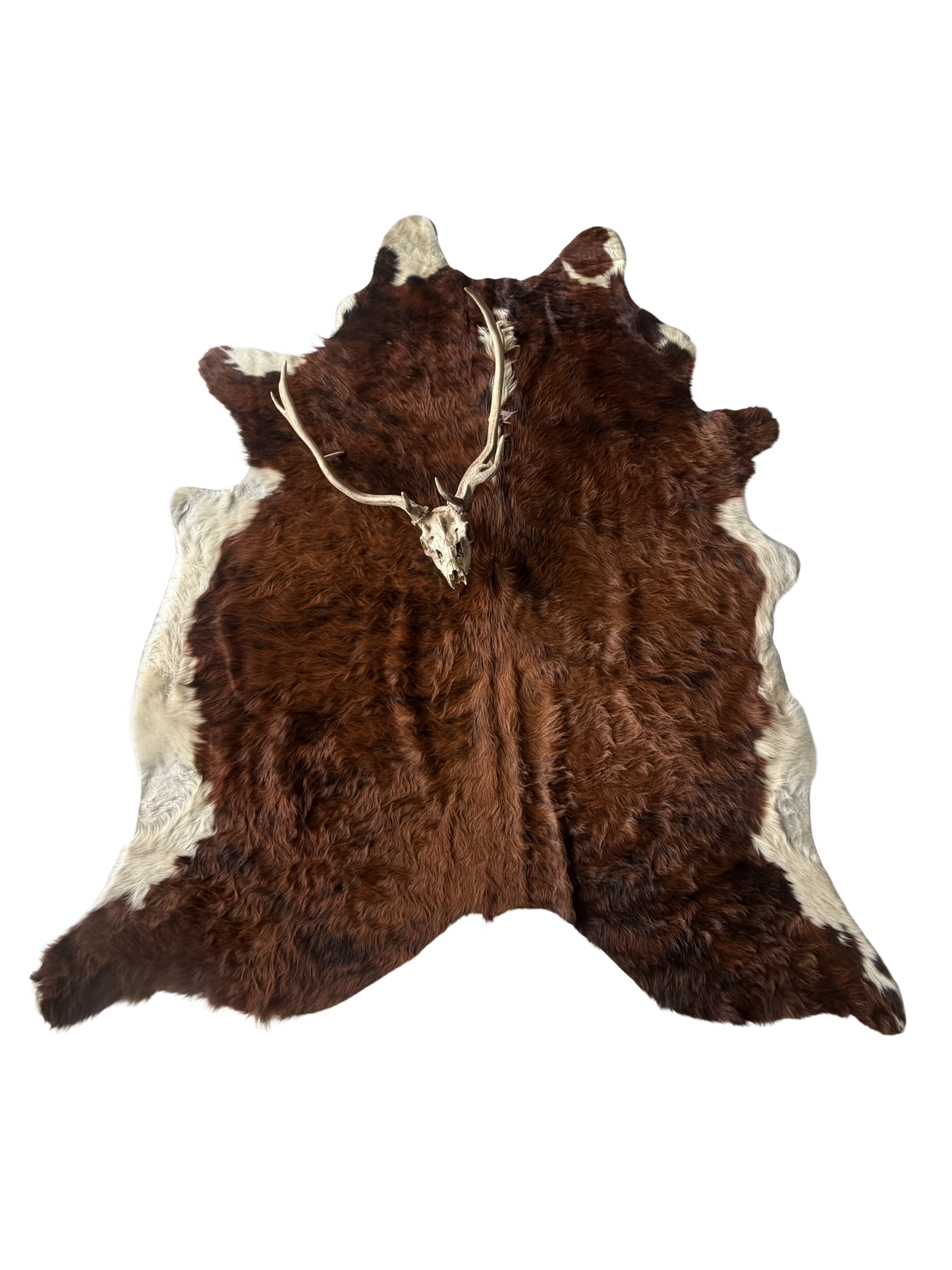 Cowhide Rug reg.